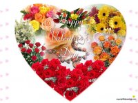 Nawras Nawrasdubai, id34521082